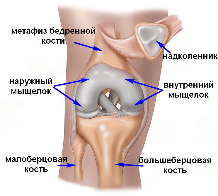 протезирование колена